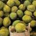 1,000 kg of free durians snapped up in 2 hours at Singapore giveaway