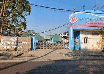 2 tons of canned pate made by Halong Canfoco destroyed for containing diseased pork