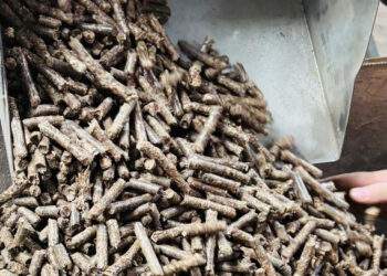 Biến phế phẩm thành hàng có giá cao, doanh nghiệp lần đầu ôm về tỷ USD