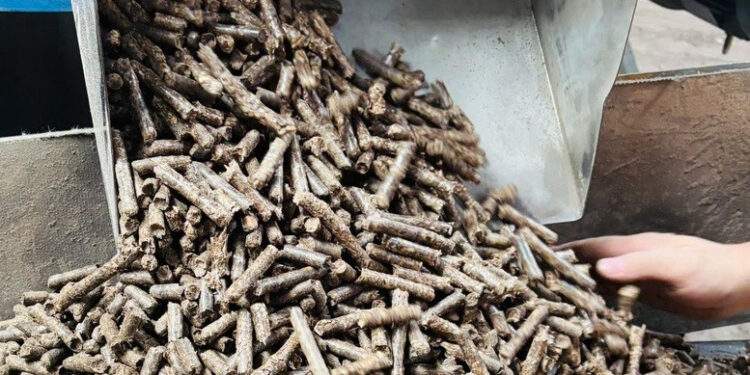 Biến phế phẩm thành hàng có giá cao, doanh nghiệp lần đầu ôm về tỷ USD