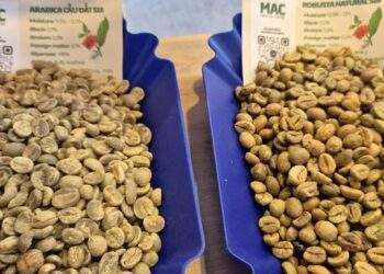 Bốc hơi 3 con số