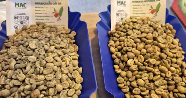 Bốc hơi 3 con số