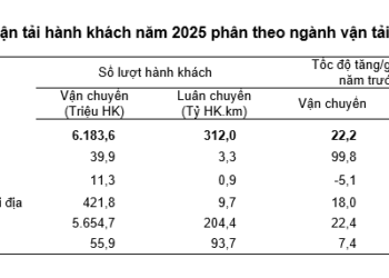 Số liệu vận tải hành khách năm 2025 theo ngành vận tải. Nguồn: Cục Thống kê.