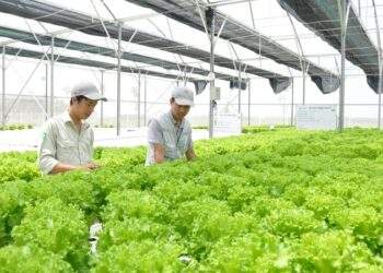 Tỉnh Ninh Bình định hướng thu hút các dự án nông nghiệp sinh thái, hữu cơ, tuần hoàn, ứng dụng công nghệ cao