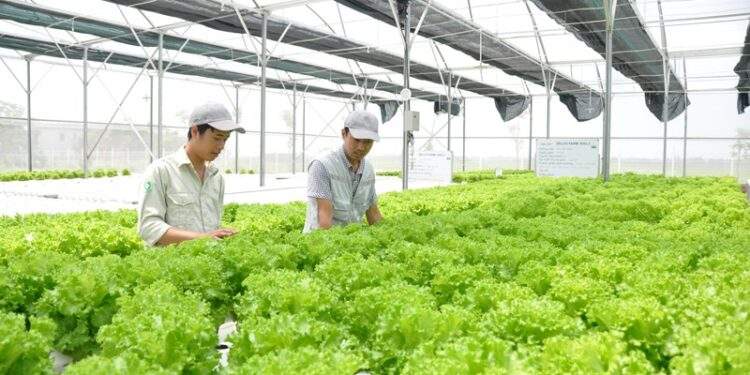 Tỉnh Ninh Bình định hướng thu hút các dự án nông nghiệp sinh thái, hữu cơ, tuần hoàn, ứng dụng công nghệ cao