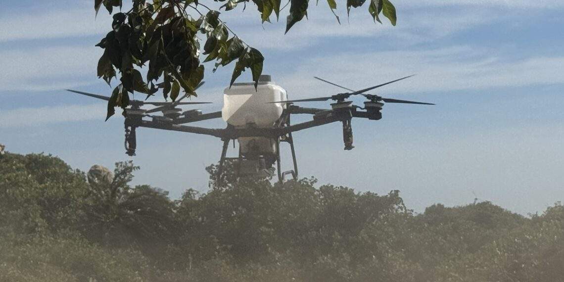 Cận cảnh máy bay không người lái thả hạt giống trồng rừng