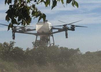 Cận cảnh máy bay không người lái thả hạt giống trồng rừng