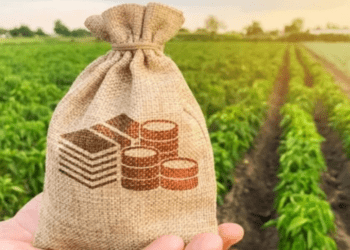 Chính sách mới có hiệu lực từ tháng 1/2026