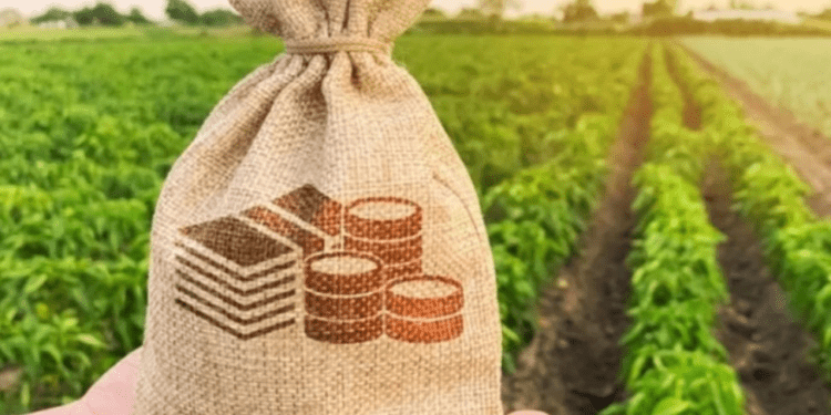 Chính sách mới có hiệu lực từ tháng 1/2026