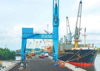 Công ty cảng biển 6.000 tỷ báo lãi kỷ lục, EPS 7.350 đồng, tiền mặt chiếm 50% tài sản