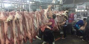 Đồng loạt giảm trên cả nước