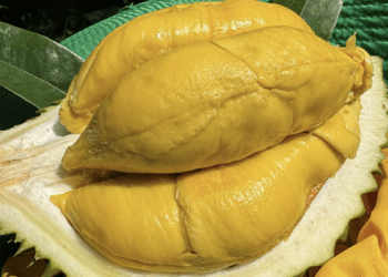 Fruit, vegetable exports to China climb to record $5.5B