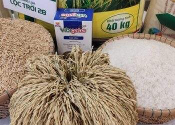 Gạo Lộc Trời bổ nhiệm tổng giám đốc mới