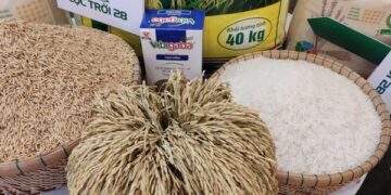 Gạo Lộc Trời bổ nhiệm tổng giám đốc mới