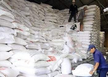 Hoàn thành nhập kho 500.000 tấn lương thực dự trữ quốc gia