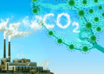 Khí nhà kính: Giải mã ma trận số liệu cho doanh nghiệp