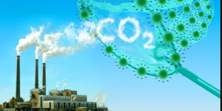 Khí nhà kính: Giải mã ma trận số liệu cho doanh nghiệp