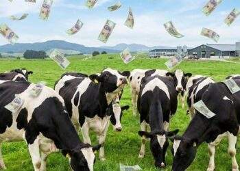 Một đại gia sữa chốt quyền chia cổ tức 25%, tiền về tài khoản ngay sát Tết