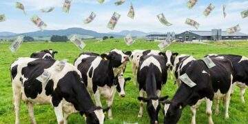 Một đại gia sữa chốt quyền chia cổ tức 25%, tiền về tài khoản ngay sát Tết