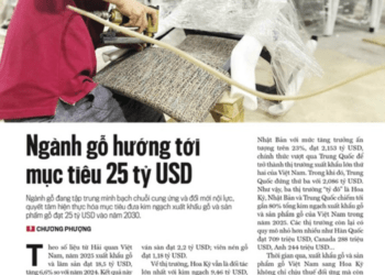 Ngành gỗ hướng tới mục tiêu 25 tỷ USD - Ảnh 1