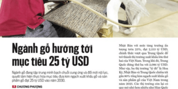 Ngành gỗ hướng tới mục tiêu 25 tỷ USD - Ảnh 1