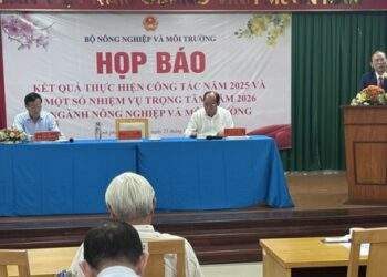 Nhiều nước muốn mua gạo thơm Việt Nam nhưng doanh nghiệp chưa xuất được