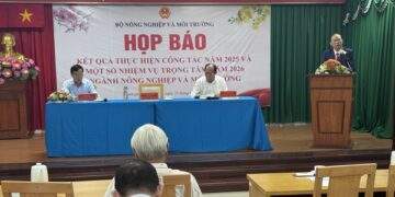 Nhiều nước muốn mua gạo thơm Việt Nam nhưng doanh nghiệp chưa xuất được