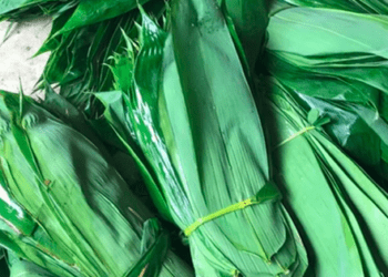 Những loại lá "độc lạ" ở Việt Nam xuất khẩu thu về triệu USD