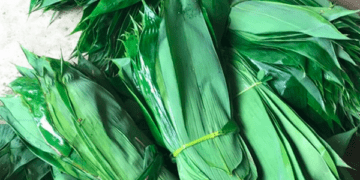 Những loại lá "độc lạ" ở Việt Nam xuất khẩu thu về triệu USD