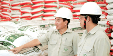 Phân bón NPK Việt Nhật, đâu phải chỉ riêng cho lúa