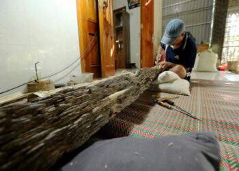 Phát hiện khúc trầm tốc bông tự nhiên tiền tỷ ở Hà Tĩnh