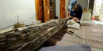 Phát hiện khúc trầm tốc bông tự nhiên tiền tỷ ở Hà Tĩnh