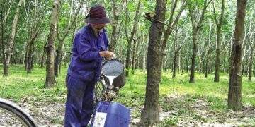 State-owned stocks rally as reform expectations lift market sentiment