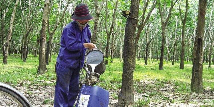 State-owned stocks rally as reform expectations lift market sentiment