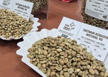 Tăng 4 phiên liên tục, Robusta vượt mốc 4.000 USD/tấn