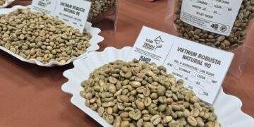 Tăng 4 phiên liên tục, Robusta vượt mốc 4.000 USD/tấn