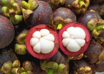 Thai mangosteen prices double as imports fall