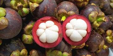 Thai mangosteen prices double as imports fall