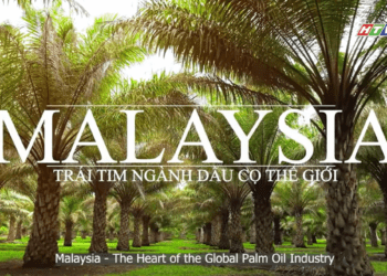 "The Palm Oil Story" explores Malaysia’s industry and global role