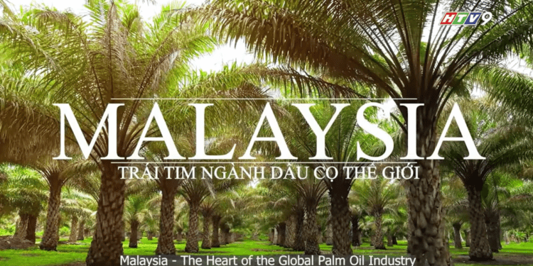 "The Palm Oil Story" explores Malaysia’s industry and global role