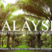 "The Palm Oil Story" explores Malaysia’s industry and global role