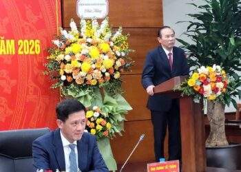 Thịt heo, nội tạng thối, không rõ nguồn gốc ở đâu ra?