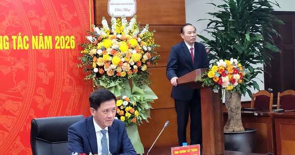 Thịt heo, nội tạng thối, không rõ nguồn gốc ở đâu ra?