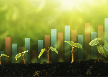 Những doanh nghiệp chủ động tham gia thị trường carbon sẽ có thuận lợi hơn khi tiếp cận các nguồn tài chính xanh. Ảnh minh họa