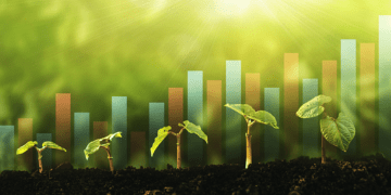 Những doanh nghiệp chủ động tham gia thị trường carbon sẽ có thuận lợi hơn khi tiếp cận các nguồn tài chính xanh. Ảnh minh họa