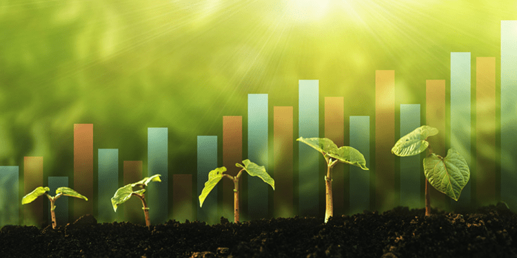 Những doanh nghiệp chủ động tham gia thị trường carbon sẽ có thuận lợi hơn khi tiếp cận các nguồn tài chính xanh. Ảnh minh họa