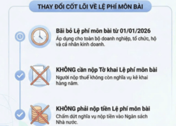 Nguồn: Thuế TP.Hồ Chí Minh