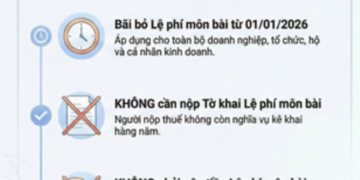 Nguồn: Thuế TP.Hồ Chí Minh
