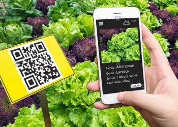 Ứng dụng công nghệ trong quản lý chất lượng sản phẩm, hàng hóa