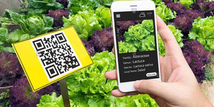 Ứng dụng công nghệ trong quản lý chất lượng sản phẩm, hàng hóa